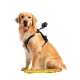 بند نگه دارنده Pet Harness Mount Size L
